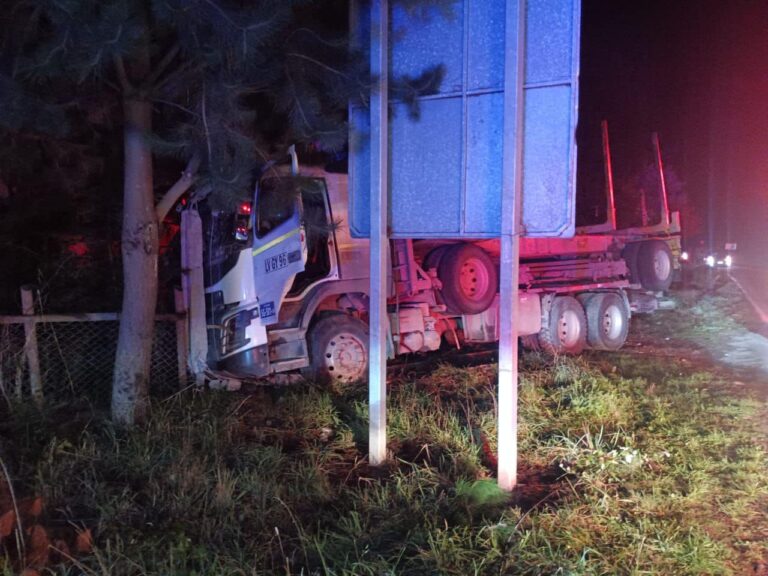 Camión chocó poste de energía eléctrica en ruta San José – Puile.